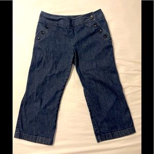 Ann Taylor Cropped Capri Jeans Size 6